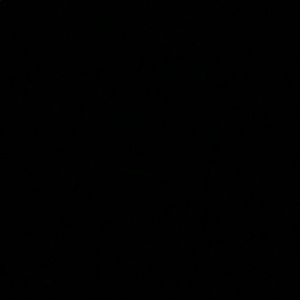 Meet your Posher, Madeline